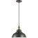 Подвесной светильник с 1 плафоном Lumion 3675/1 DARIO под лампу 1xE27 60W
