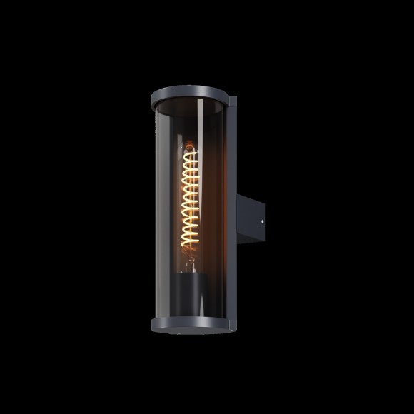 Настенный светильник (бра) Outdoor O451WL-01GF