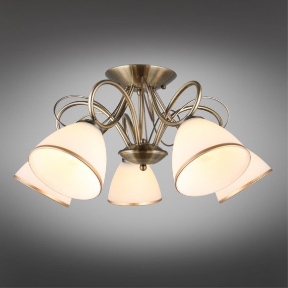 Потолочная люстра 253 OML-25307-05