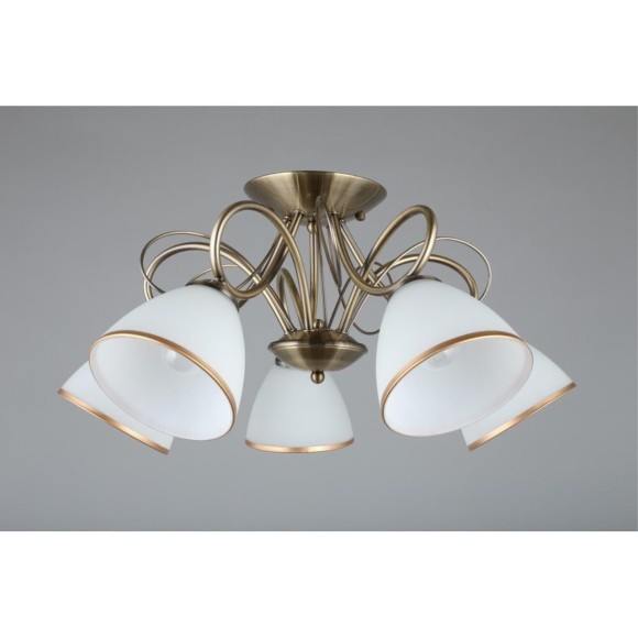 Потолочная люстра 253 OML-25307-05