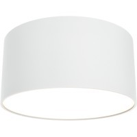 Потолочный светильник Technical C032CL-12W3K-RD-W