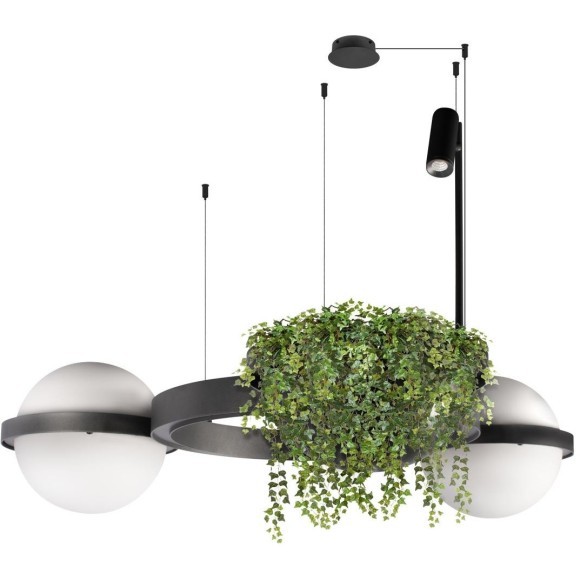 10121/2 Dark grey Подвесной светильник LOFT IT Jardin