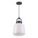 Уличный подвесной светильник Novotech 370601 Conte IP44 под лампу 1xE27 60W