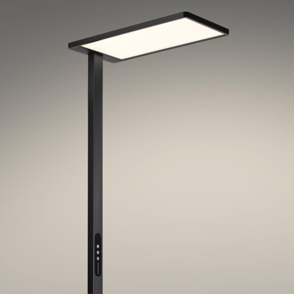 Novotech Studi 359974 Функциональный черный торшер профессионального назначения, с сенсорным диммером, LED 50W+50W 4000K 6500Лм 180° CRI98 UGR≤16 IP20 Novotech Studi 359974 Функциональный черный торшер профессионального назначения, с сенсорным диммером, LED 50W+50W 4000K 6500Лм 180° CRI98 UGR≤16 IP20