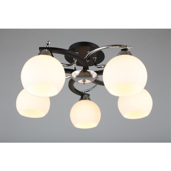 Потолочная люстра 254 OML-25407-05