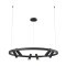 Подвесной светильник кольцом Maytoni MOD102PL-L42B Satellite светодиодный 6xLED 42W