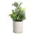 428025 Искусственное растение в горшке CHITOSE, H250, ?150, пластик, коричневый, зеленый