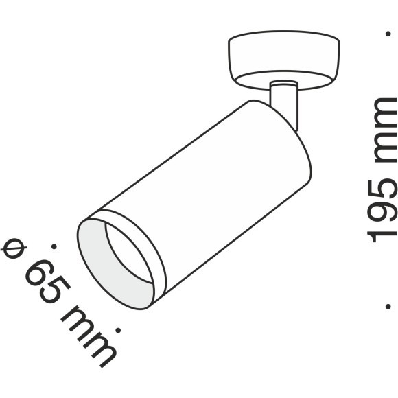 Потолочный светильник Technical C017CW-01RG