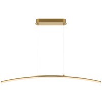 Подвесной светильник Maytoni MOD243PL-L18BSK