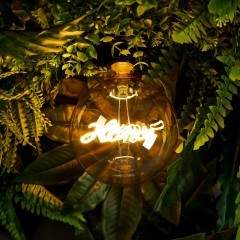 Voltega DIY.Bulbs VG10-G125E27warm4W-F-PD-HOME арт. 8551 Декоративная филаментная LED-лампа E27, 4 Вт, 2500К, CRI 85, 320 лм, IP44, желтое стекло, не диммируемая, габариты 125 x 125 мм Voltega DIY.Bulbs VG10-G125E27warm4W-F-PD-HOME арт. 8551 Декоративная филаментная LED-лампа E27, 4 Вт, 2500К, CRI 85, 320 лм, IP44, желтое стекло, не диммируемая, габариты 125 x 125 мм