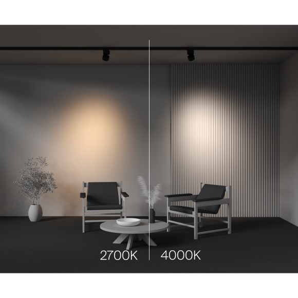 Трековый светильник Technical TR199-3-15W2.7K-M-B