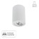 Точечный накладной светильник Arte Lamp SENTRY A1566PL-1WH