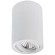 Точечный накладной светильник Arte Lamp SENTRY A1566PL-1WH
