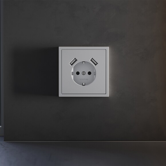 VLS000916 Накладка для розетки с заземлением и защитными шторками, с зарядкой от USB (ТИП A + ТИП A) серого цвета VOLTUM S70 (серый) VLS000916 Накладка для розетки с заземлением и защитными шторками, с зарядкой от USB (ТИП A + ТИП A) серого цвета VOLTUM S70 (серый)