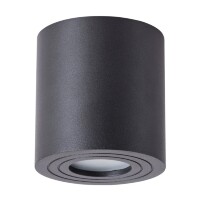 Уличный потолочный светильник Arte Lamp A1460PL-1BK GALOPIN IP44 под лампу 1xGU10 35W