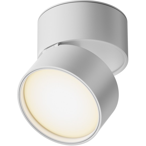 Потолочный светильник Technical C024CL-L12W3K