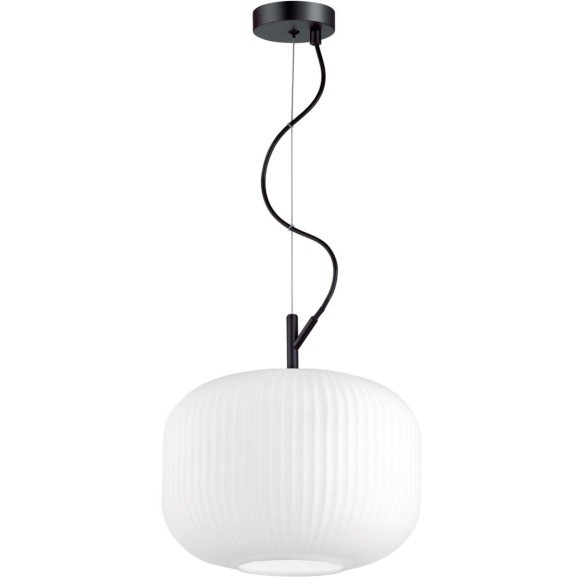 Подвесной светильник с 1 плафоном Odeon Light 4754/1 ROOFI под лампу 1xE27 60W Подвесной светильник с 1 плафоном Odeon Light 4754/1 ROOFI под лампу 1xE27 60W