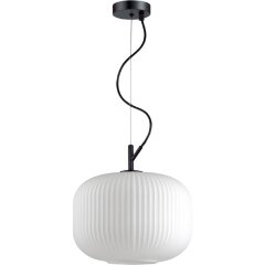 Подвесной светильник с 1 плафоном Odeon Light 4754/1 ROOFI под лампу 1xE27 60W Подвесной светильник с 1 плафоном Odeon Light 4754/1 ROOFI под лампу 1xE27 60W