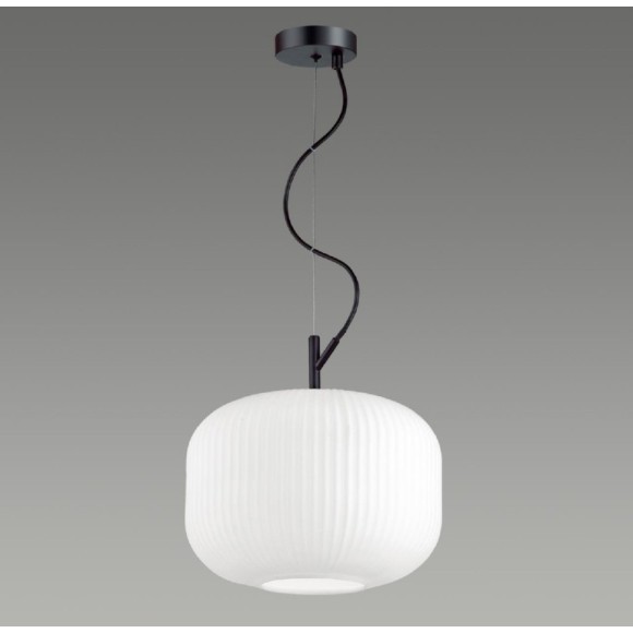 Подвесной светильник с 1 плафоном Odeon Light 4754/1 ROOFI под лампу 1xE27 60W Подвесной светильник с 1 плафоном Odeon Light 4754/1 ROOFI под лампу 1xE27 60W