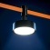Светильник трековый 48V 10W 4000K 100° черный Due Hermes Lightstar 210547