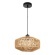 Подвесной светильник Arte Lamp BRUSHWOOD A7087SP-1BK