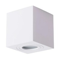 Уличный потолочный светильник Arte Lamp A1461PL-1WH GALOPIN IP44 под лампу 1xGU10 35W