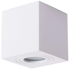 Уличный потолочный светильник Arte Lamp A1461PL-1WH GALOPIN IP44 под лампу 1xGU10 35W
