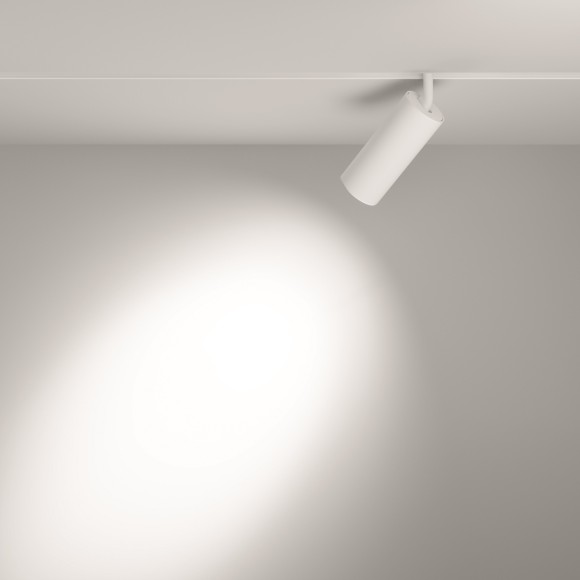 TR032-2-20W4K-S-W Трековый магнитный светодиодный светильник Maytoni Exility CRI90+ 4000К 1910Лм 24° 20Вт