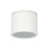 Уличный потолочный светильник Arte Lamp PIAUTOS A1913PF-1WH