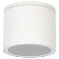 Уличный потолочный светильник Arte Lamp PIAUTOS A1913PF-1WH