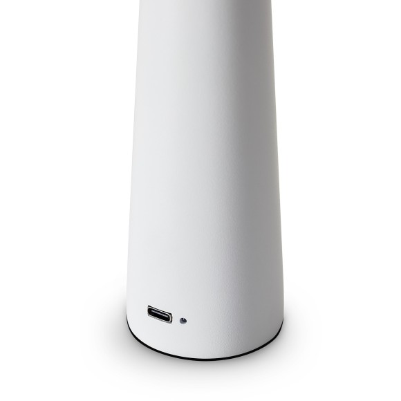 Настольный светильник Freya FR6188TL-L3W