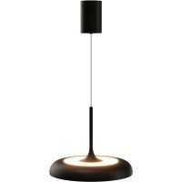 Подвесной светильник Maytoni MOD189PL-L39B3K