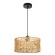 Подвесной светильник Arte Lamp BRUSHWOOD A7088SP-1BK