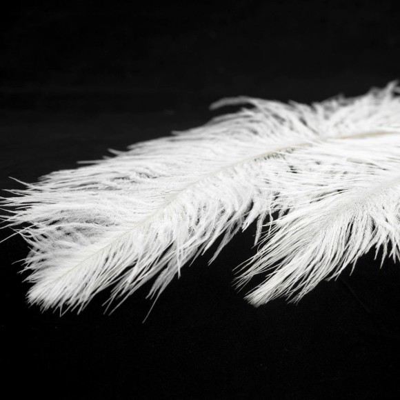 Люстра подвесная Lussole LSP-8601 Cuscino IP21 под лампу 1xE27 10W