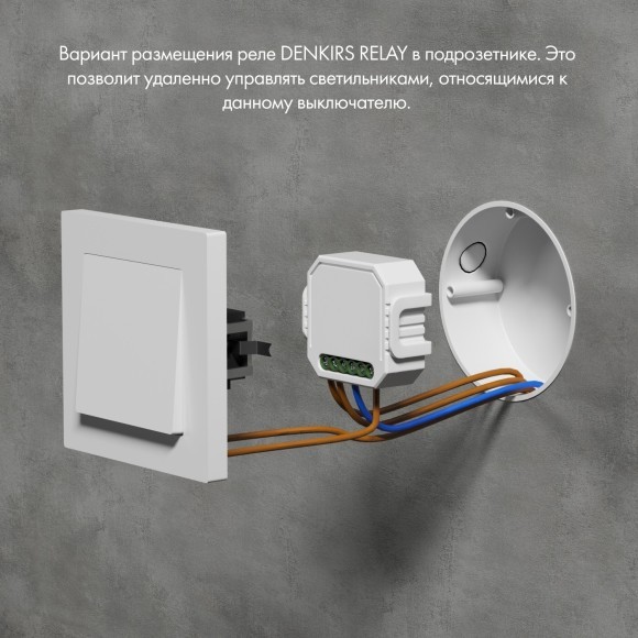 RL1003-DM/1 Одноканальное Wi-Fi реле-диммер 1 x 150 Вт