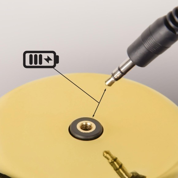 10233/D Gold Настольная лампа LOFT IT Brothers 10233/D Gold Настольная лампа LOFT IT Brothers