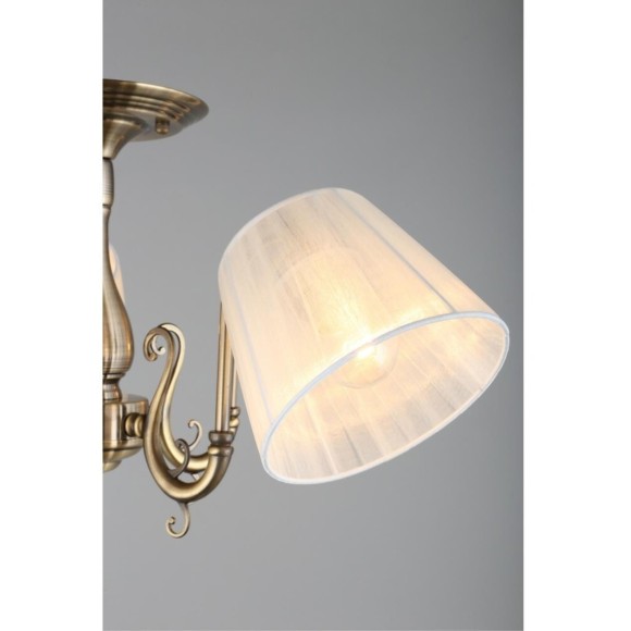 Потолочная люстра 291 OML-29117-05