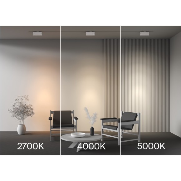 Трековый светильник Maytoni Points TR224-1-12WCCT-M-W