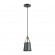 Подвесной светильник с 1 плафоном Lumion 3641/1 TRISTEN под лампу 1xE27 60W
