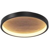 Потолочный светильник Maytoni MOD311CL-L27B3K