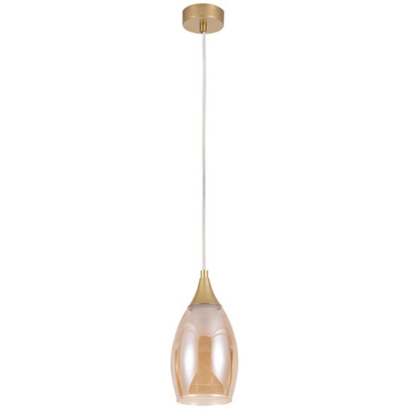 Подвесной светильник Arte Lamp BARRY A7951SP-1GO