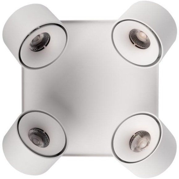 10326 White Накладной светильник LOFT IT Case