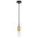 Подвесной светильник Arte Lamp MARK A7047SP-1BK