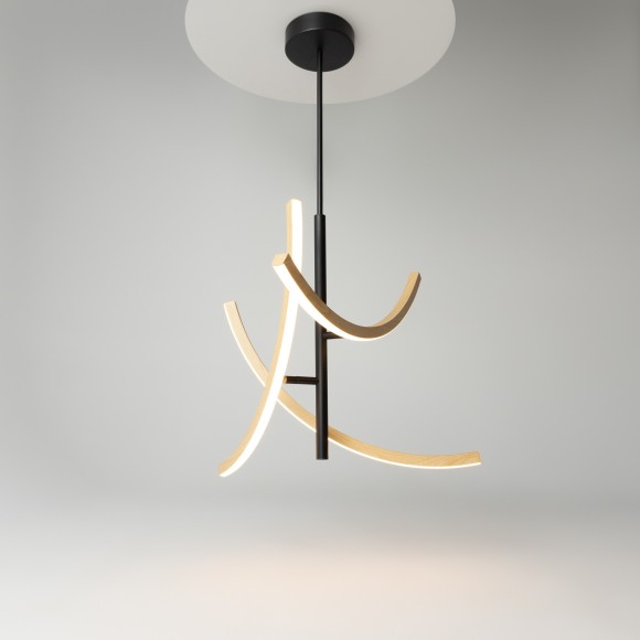 Подвесной светильник Maytoni MOD428PL-L20BK