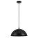 Подвесной светильник Arte Lamp CAPPELLO A7056SP-1BK
