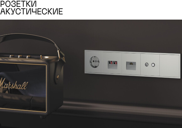 VLS001506 Накладка для розетки акустической 4-местной для подключения звуковоспроизводящих устройств (для проводов сечением 0,5 — 4 ММ²) титанового цвета VOLTUM S70 (титан)