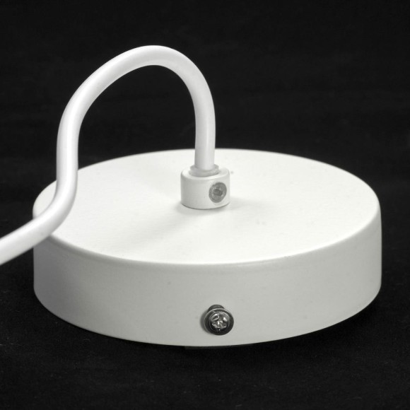 Подвесной светильник с 1 плафоном Lussole GRLSP-8135 SUBWAY IP21 под лампу 1xE27 10W