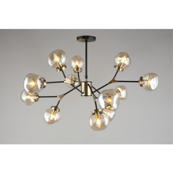 Потолочная люстра Crotone OML-95107-12