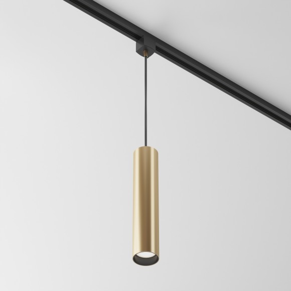 Однофазный двужильный трековый светильник Maytoni Unity TR025-1-GU10-MG Focus под сменную лампу GU10