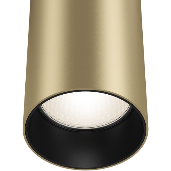 Однофазный двужильный трековый светильник Maytoni Unity TR025-1-GU10-MG Focus под сменную лампу GU10